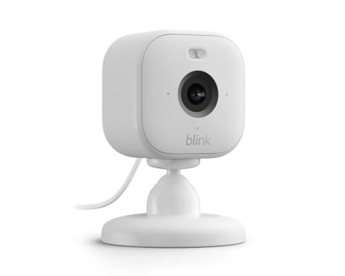 Are Indoor Cameras Invasive? Balancing Security And Privacy